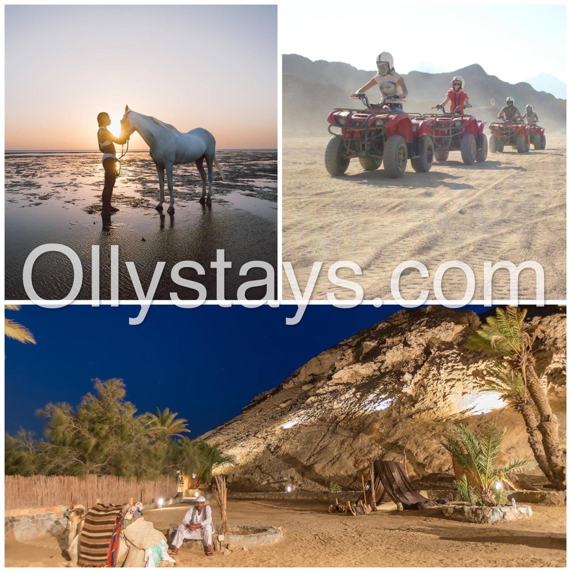 Ollystays Mangroovy 1 Bedroom Beach And Pool Free Access Hurghada Exterior foto
